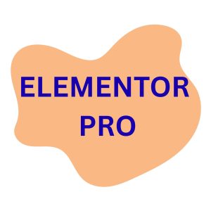 Elementor Pro